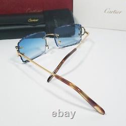Cartier Sunglasses BIG C Piccadilly C De Cartier Glasses