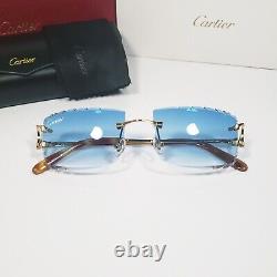 Cartier Sunglasses BIG C Piccadilly C De Cartier Glasses