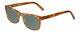 Eyebobs Full Zip Polarized Sunglasses Choose Lens Color Brown Gold Tortoise 57mm