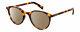 Levi's Seasonal Lv1005 Women's Polarized Bifocal Sunglasses Havana Tortoise 50mm