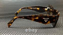PRADA PR 08YS 01V8C1 Brown Havana Brown Women's 51 mm Sunglasses