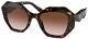 Prada Pr 16ws Havana/brown Shaded 53/20/145 Women Sunglasses