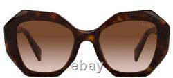 Prada PR 16WS Havana/Brown Shaded 53/20/145 women Sunglasses
